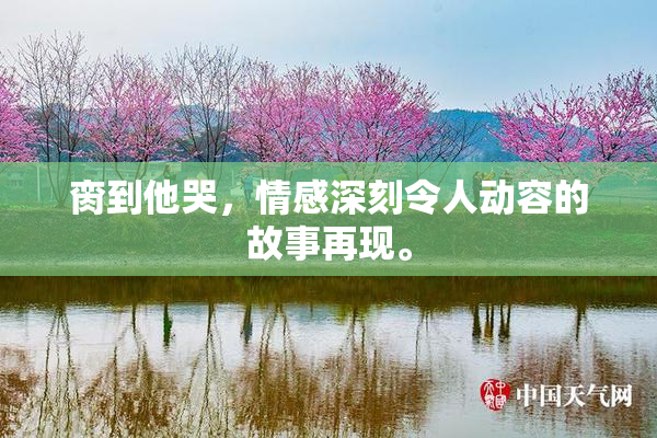 脔到他哭，情感深刻令人动容的故事再现。