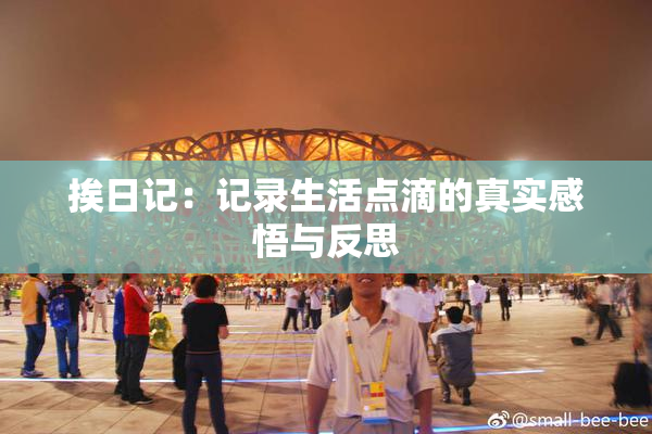 挨日记：记录生活点滴的真实感悟与反思