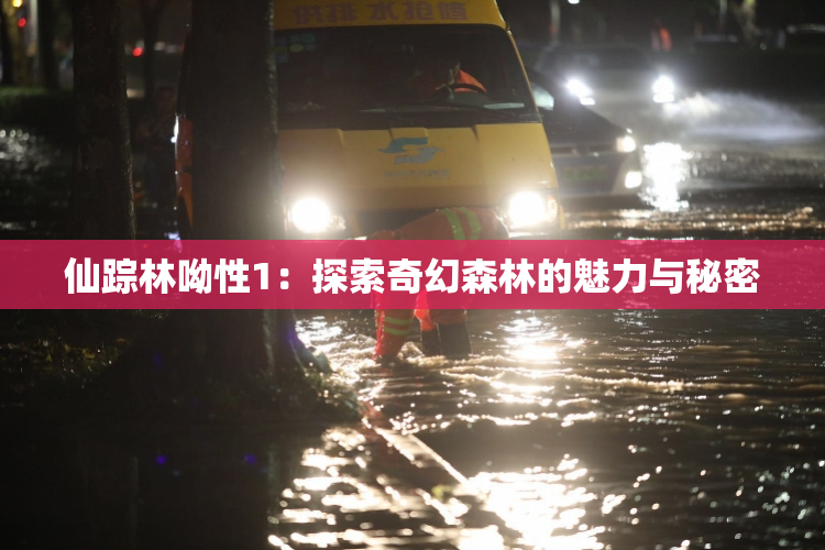 仙踪林呦性1：探索奇幻森林的魅力与秘密