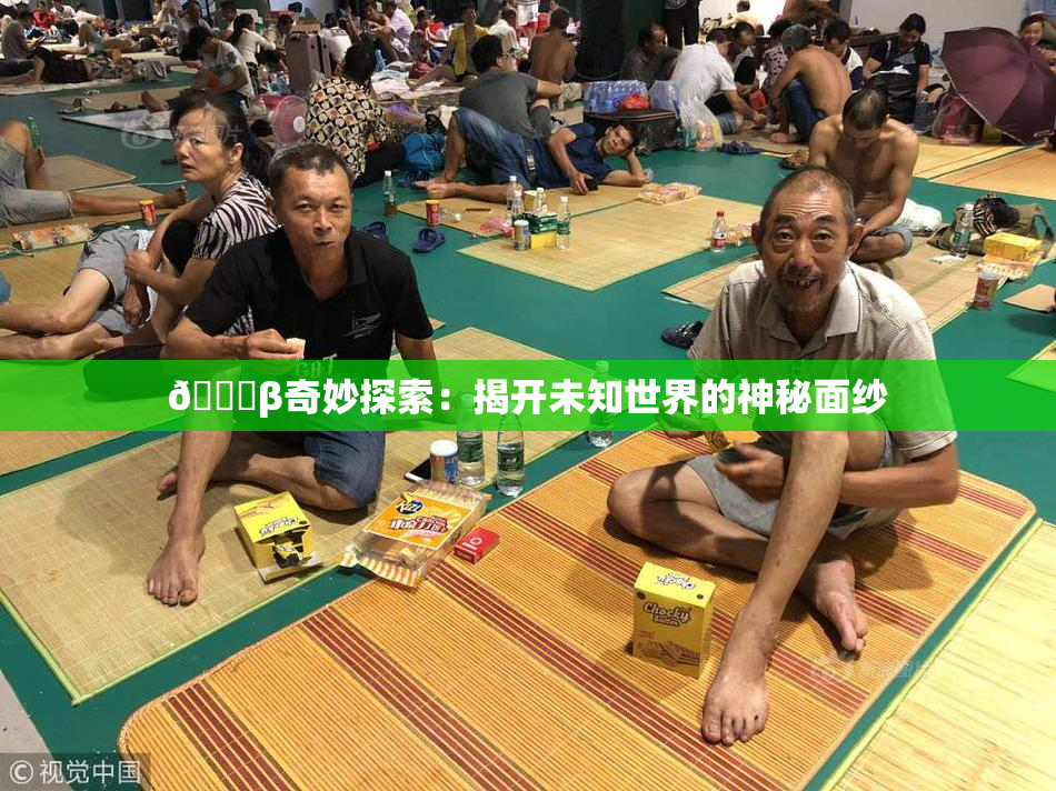 👙β奇妙探索：揭开未知世界的神秘面纱