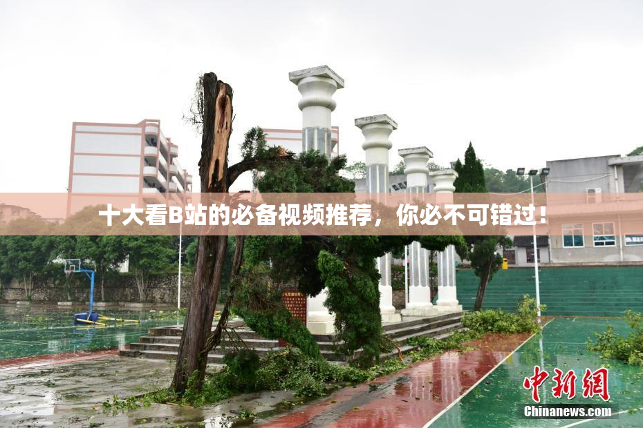 十大看B站的必备视频推荐，你必不可错过！
