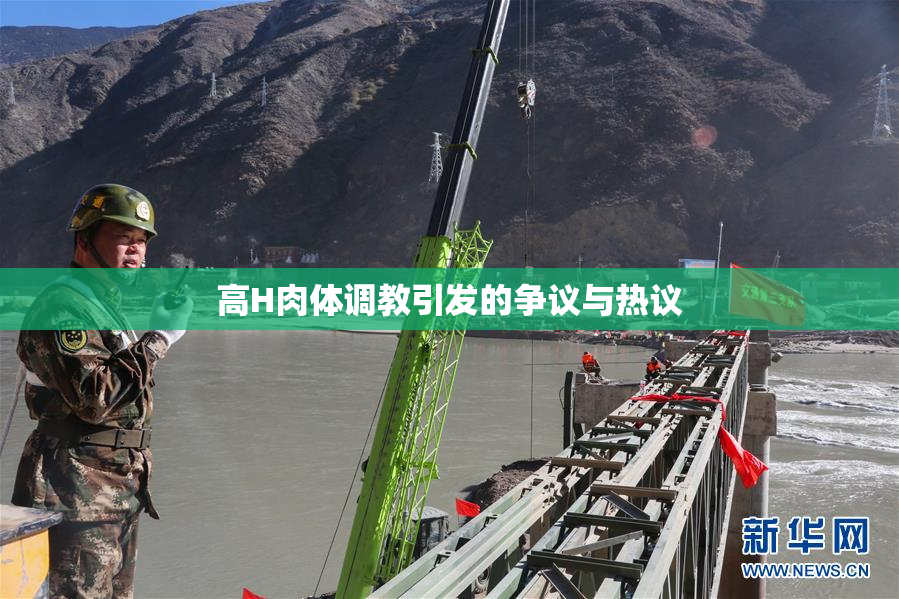 高H肉体调教引发的争议与热议