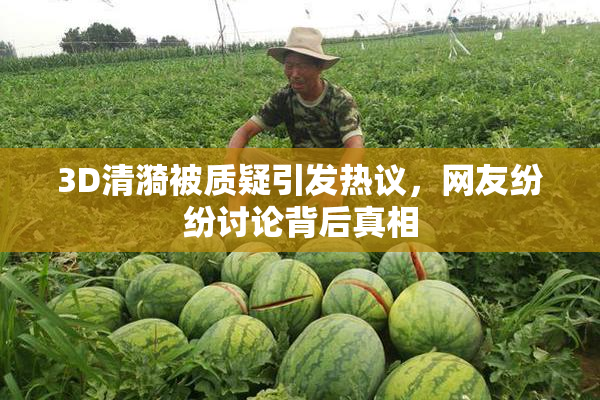 3D清漪被质疑引发热议，网友纷纷讨论背后真相
