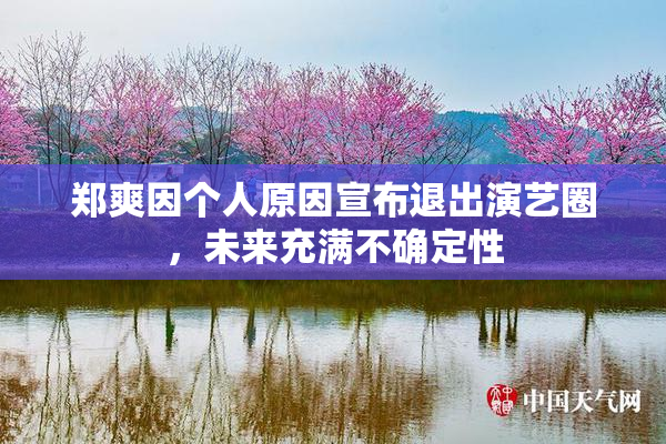 郑爽因个人原因宣布退出演艺圈，未来充满不确定性