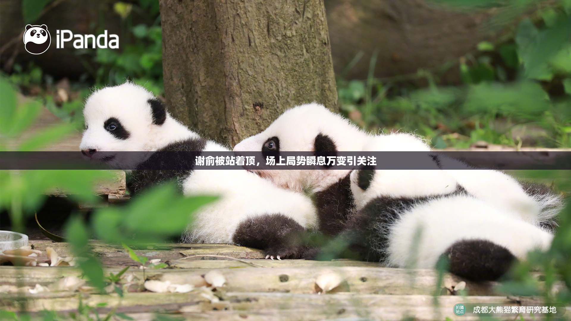 谢俞被站着顶，场上局势瞬息万变引关注