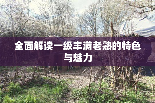 全面解读一级丰满老熟的特色与魅力