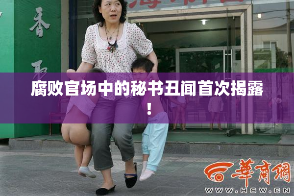 腐败官场中的秘书丑闻首次揭露！