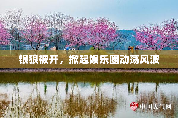 银狼被开，掀起娱乐圈动荡风波