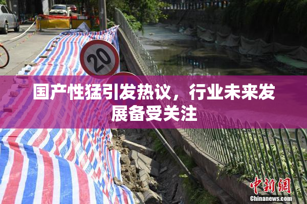 国产性猛引发热议，行业未来发展备受关注