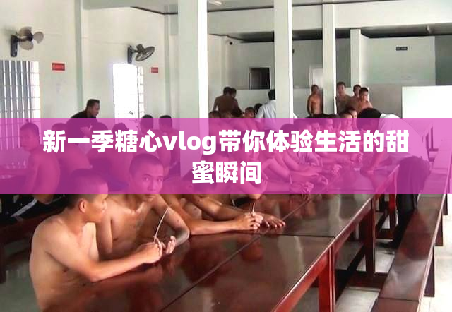 新一季糖心vlog带你体验生活的甜蜜瞬间