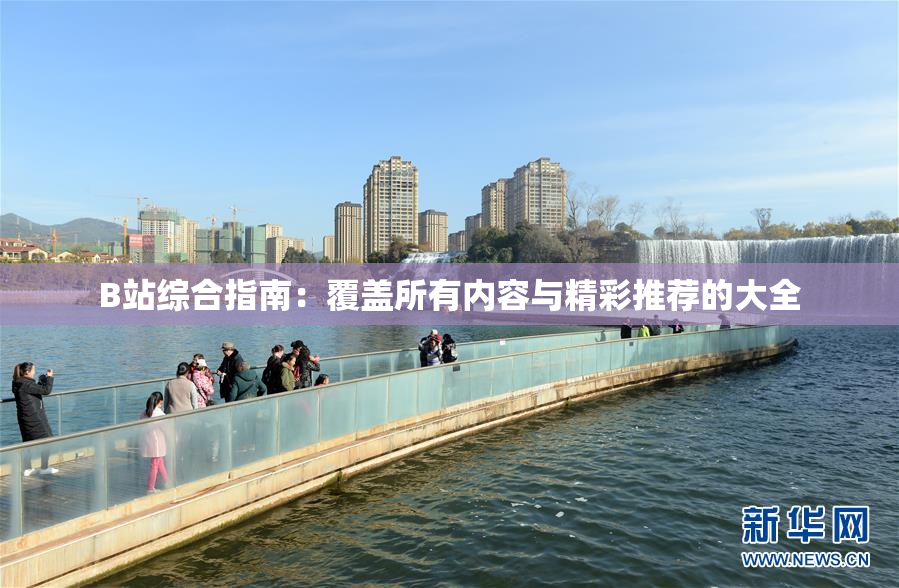 B站综合指南：覆盖所有内容与精彩推荐的大全
