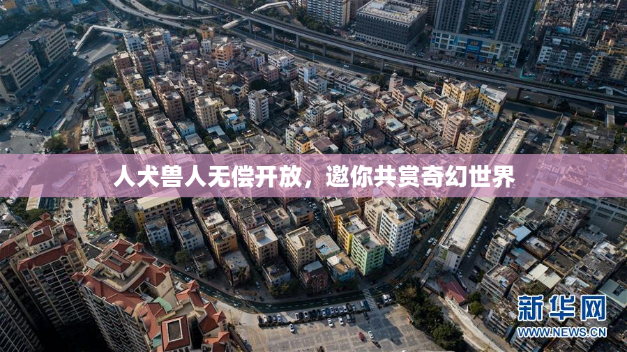 人犬兽人无偿开放，邀你共赏奇幻世界