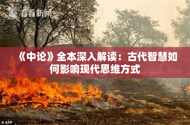 《中论》全本深入解读：古代智慧如何影响现代思维方式