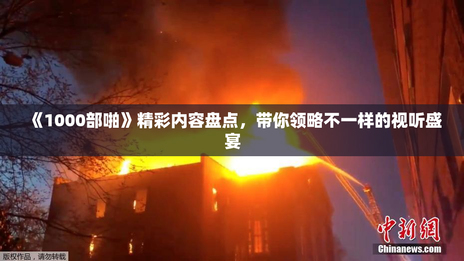 《1000部啪》精彩内容盘点，带你领略不一样的视听盛宴