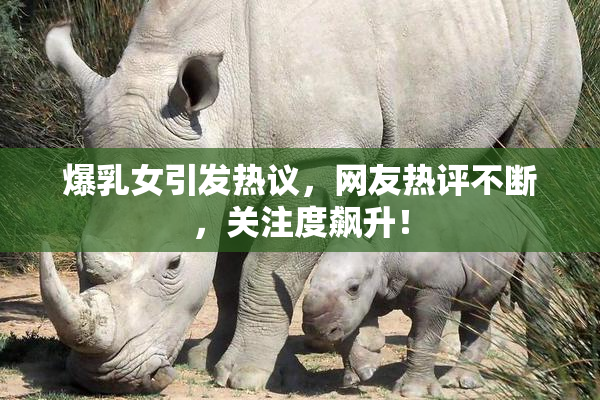 爆乳女引发热议，网友热评不断，关注度飙升！