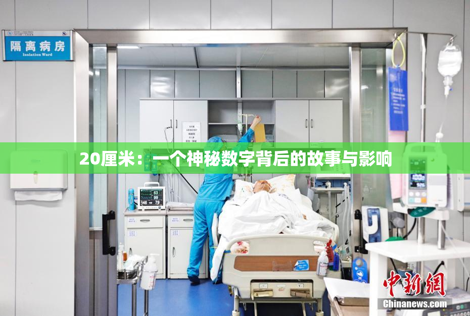 20厘米：一个神秘数字背后的故事与影响