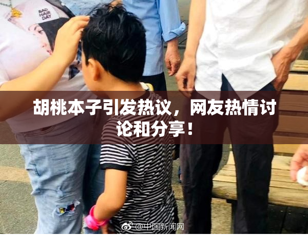 胡桃本子引发热议，网友热情讨论和分享！