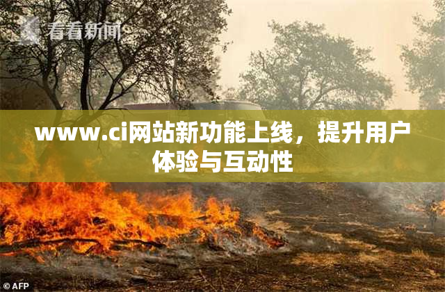 www.ci网站新功能上线，提升用户体验与互动性
