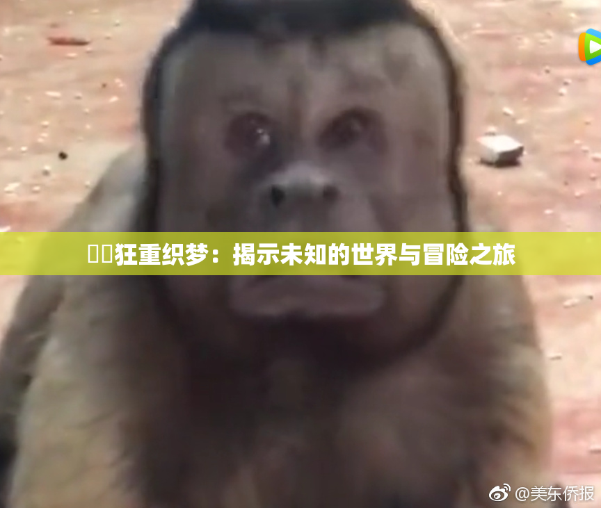 ❌‌狂重织梦：揭示未知的世界与冒险之旅