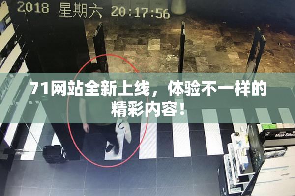 71网站全新上线，体验不一样的精彩内容！