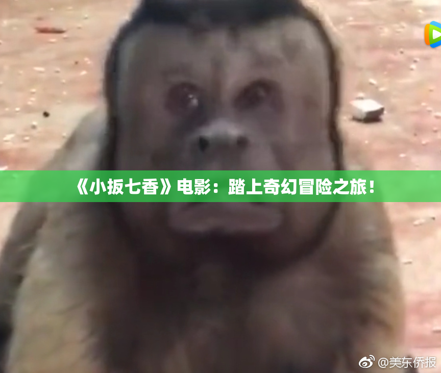 《小扳七香》电影：踏上奇幻冒险之旅！