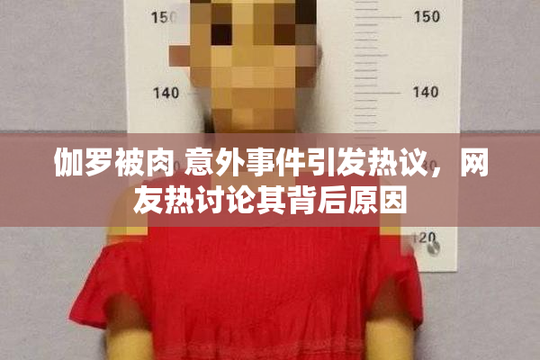 伽罗被肉 意外事件引发热议，网友热讨论其背后原因