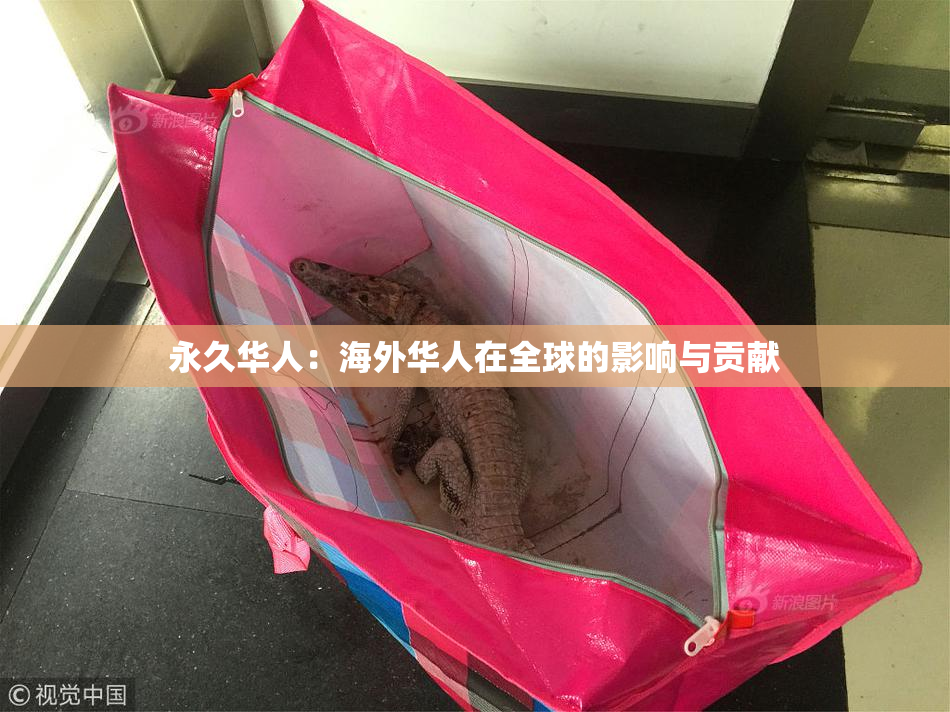 永久华人：海外华人在全球的影响与贡献
