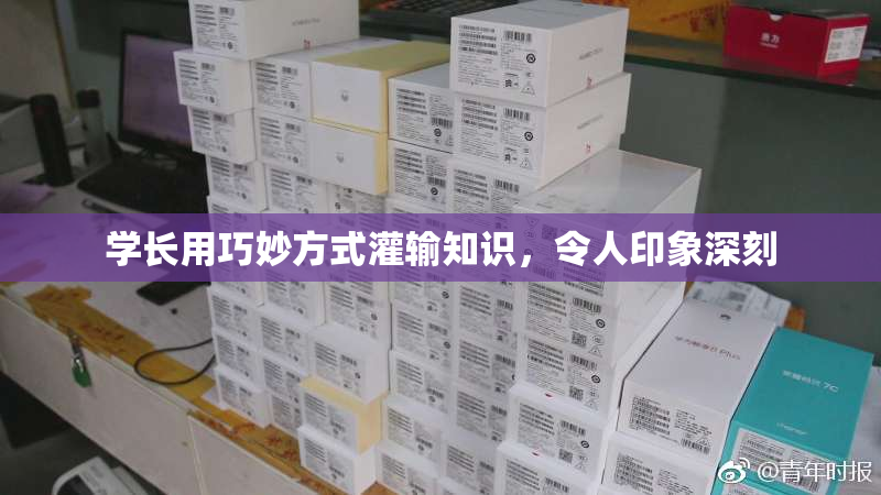 学长用巧妙方式灌输知识，令人印象深刻