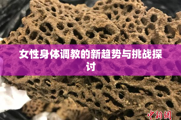 女性身体调教的新趋势与挑战探讨