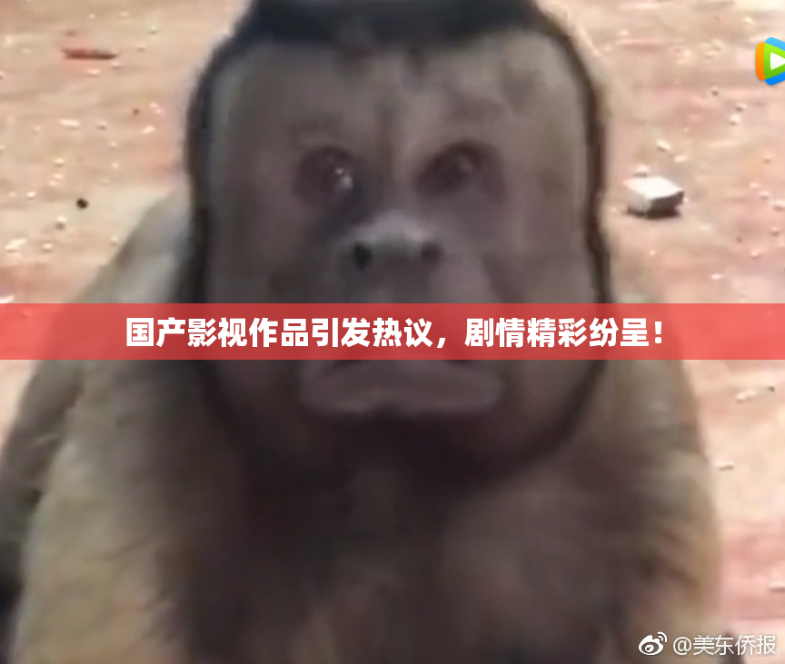 国产影视作品引发热议，剧情精彩纷呈！