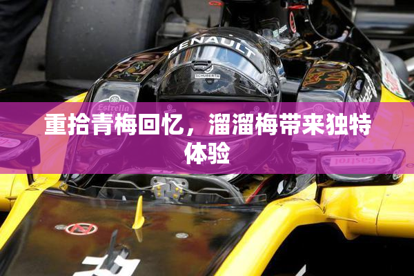 重拾青梅回忆，溜溜梅带来独特体验