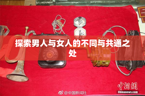 探索男人与女人的不同与共通之处