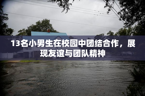 13名小男生在校园中团结合作，展现友谊与团队精神