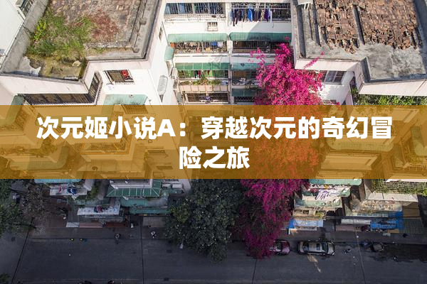 次元姬小说A：穿越次元的奇幻冒险之旅