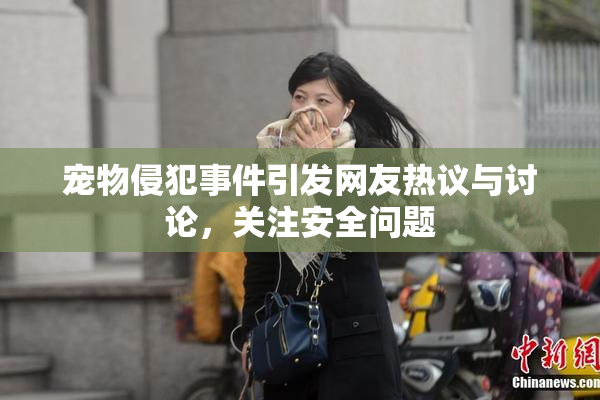 宠物侵犯事件引发网友热议与讨论，关注安全问题
