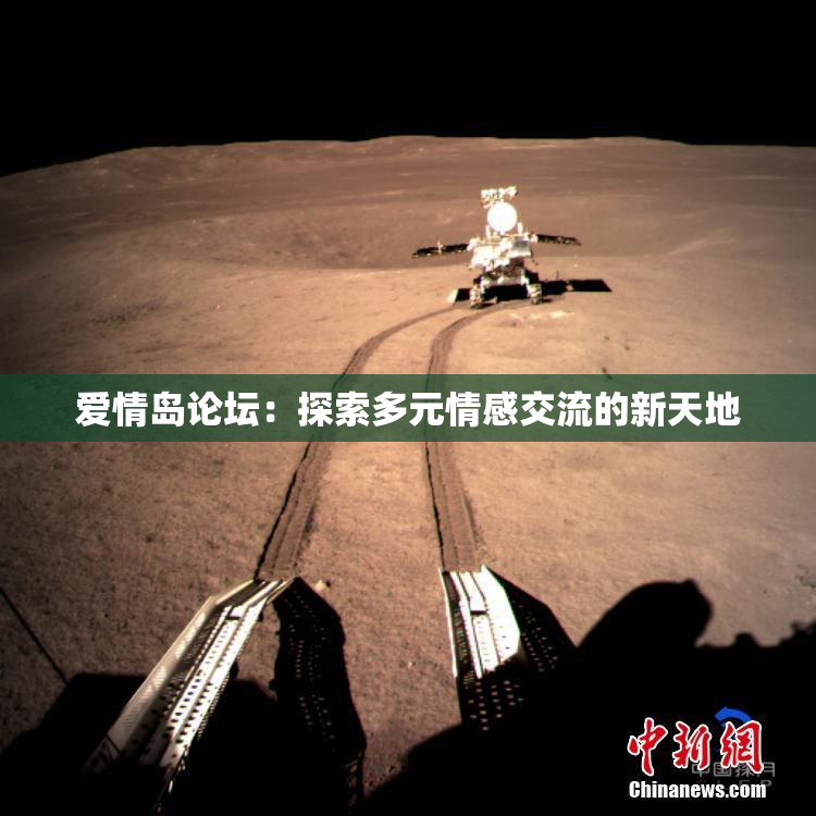 爱情岛论坛：探索多元情感交流的新天地