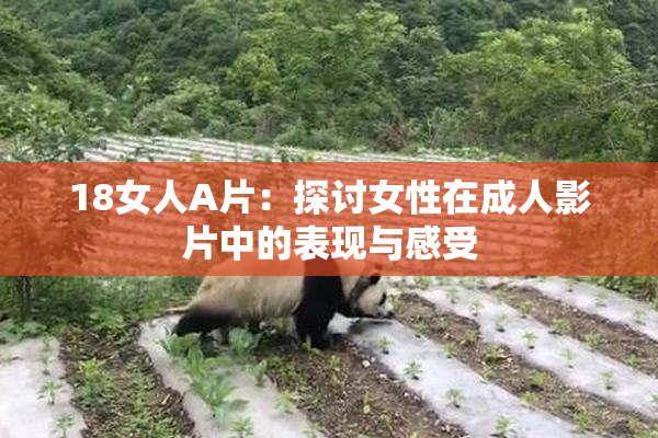 18女人A片：探讨女性在成人影片中的表现与感受