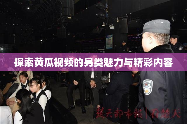 探索黄瓜视频的另类魅力与精彩内容