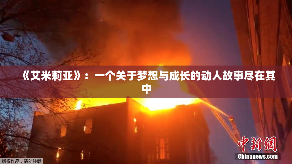 《艾米莉亚》：一个关于梦想与成长的动人故事尽在其中