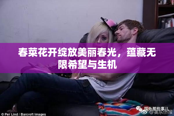 春菜花开绽放美丽春光，蕴藏无限希望与生机