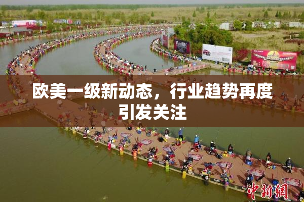 欧美一级新动态，行业趋势再度引发关注