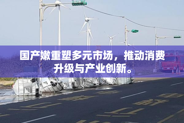 国产嫩重塑多元市场，推动消费升级与产业创新。