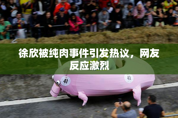 徐欣被纯肉事件引发热议，网友反应激烈