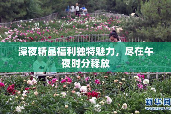 深夜精品福利独特魅力，尽在午夜时分释放