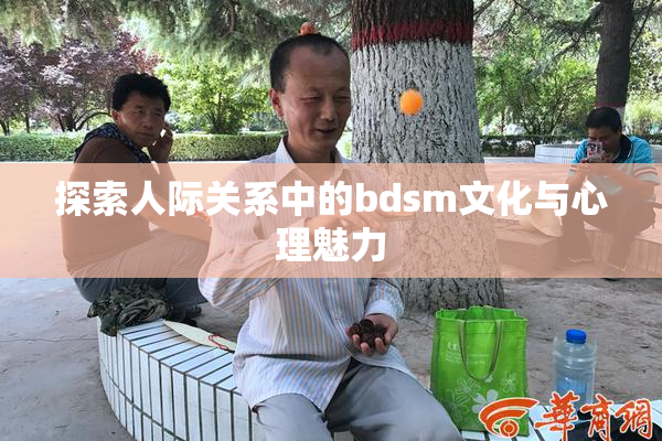 探索人际关系中的bdsm文化与心理魅力