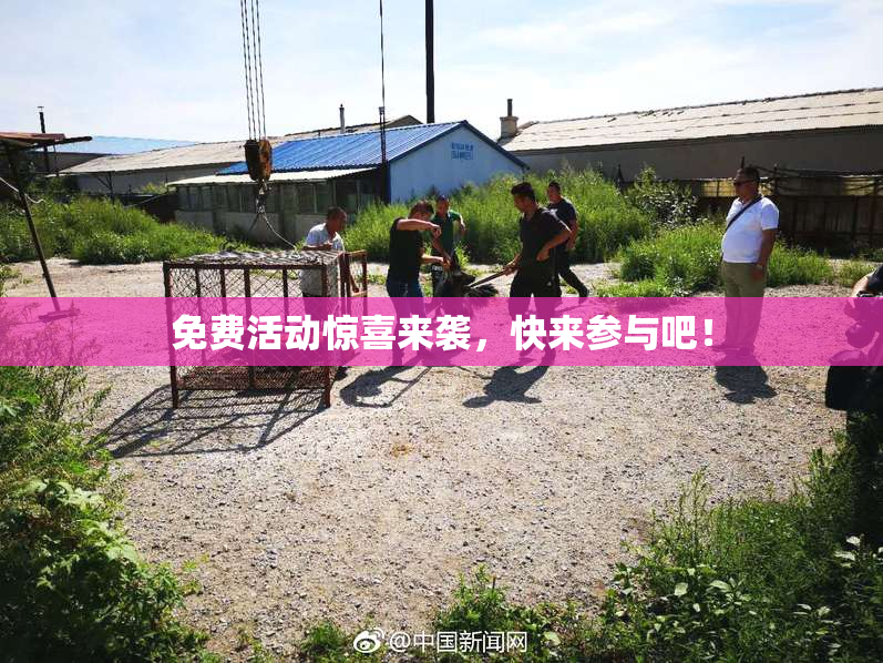 免费活动惊喜来袭，快来参与吧！