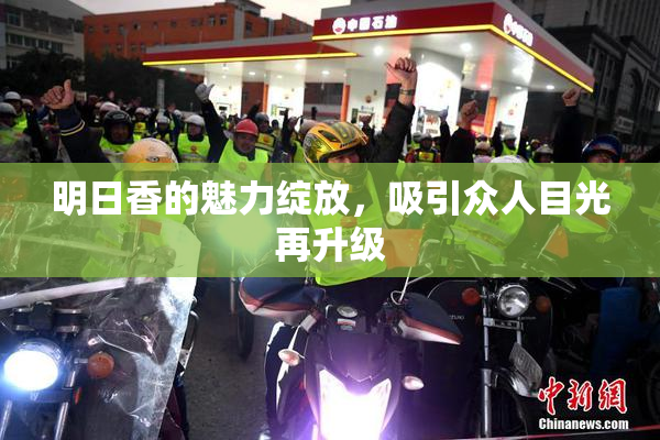 明日香的魅力绽放，吸引众人目光再升级