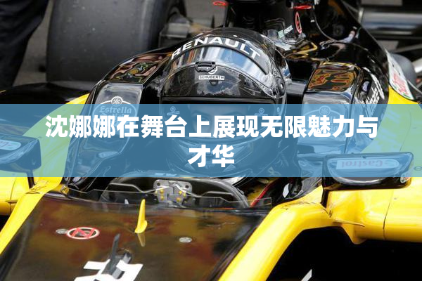 沈娜娜在舞台上展现无限魅力与才华