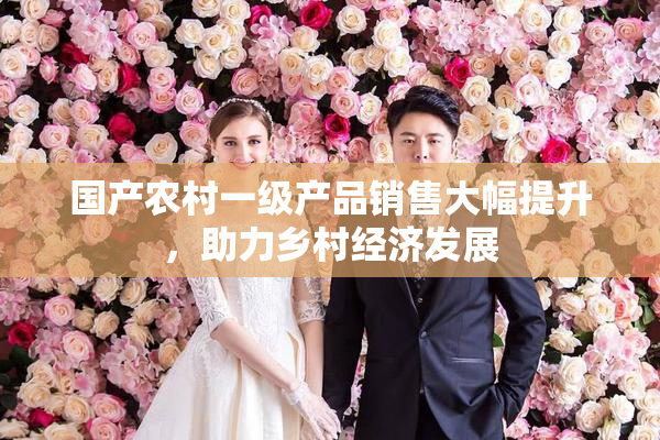 国产农村一级产品销售大幅提升，助力乡村经济发展