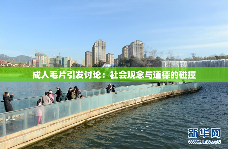 成人毛片引发讨论：社会观念与道德的碰撞